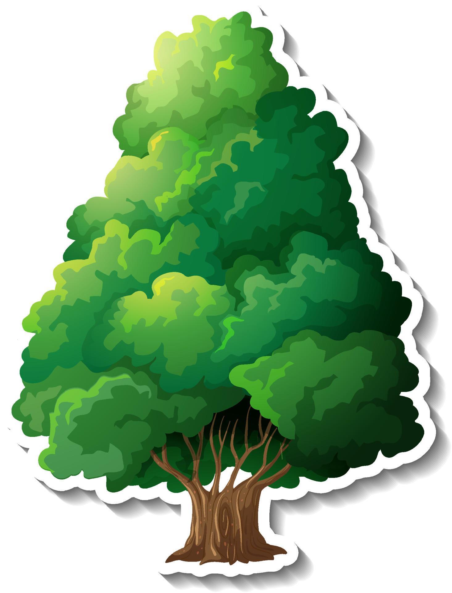 Tree sticker on white background 3734079 Vector Art at Vecteezy