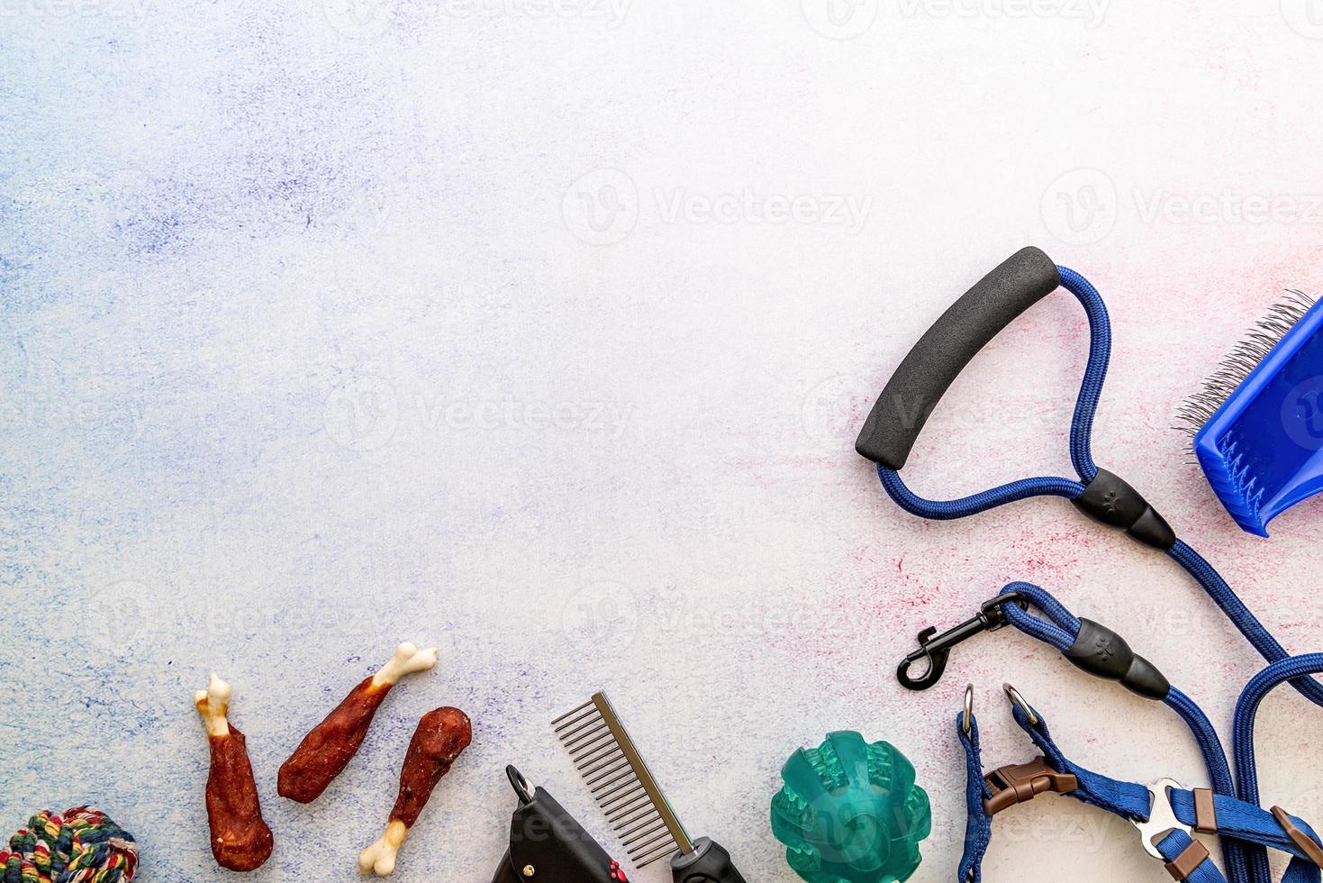 Dog caring tools brushes, pills, nail clipper, leash, medicine, toilet pad, snacks and toys scattered on white background top view photo