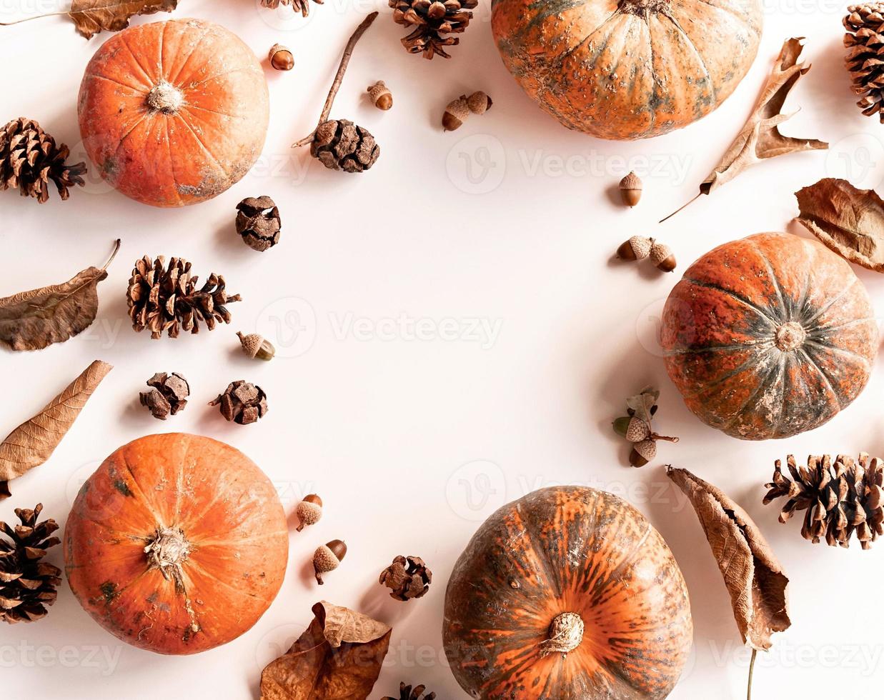 Pumpkins, pine cones, dry leaves and acorns in a circle frame top view on white photo
