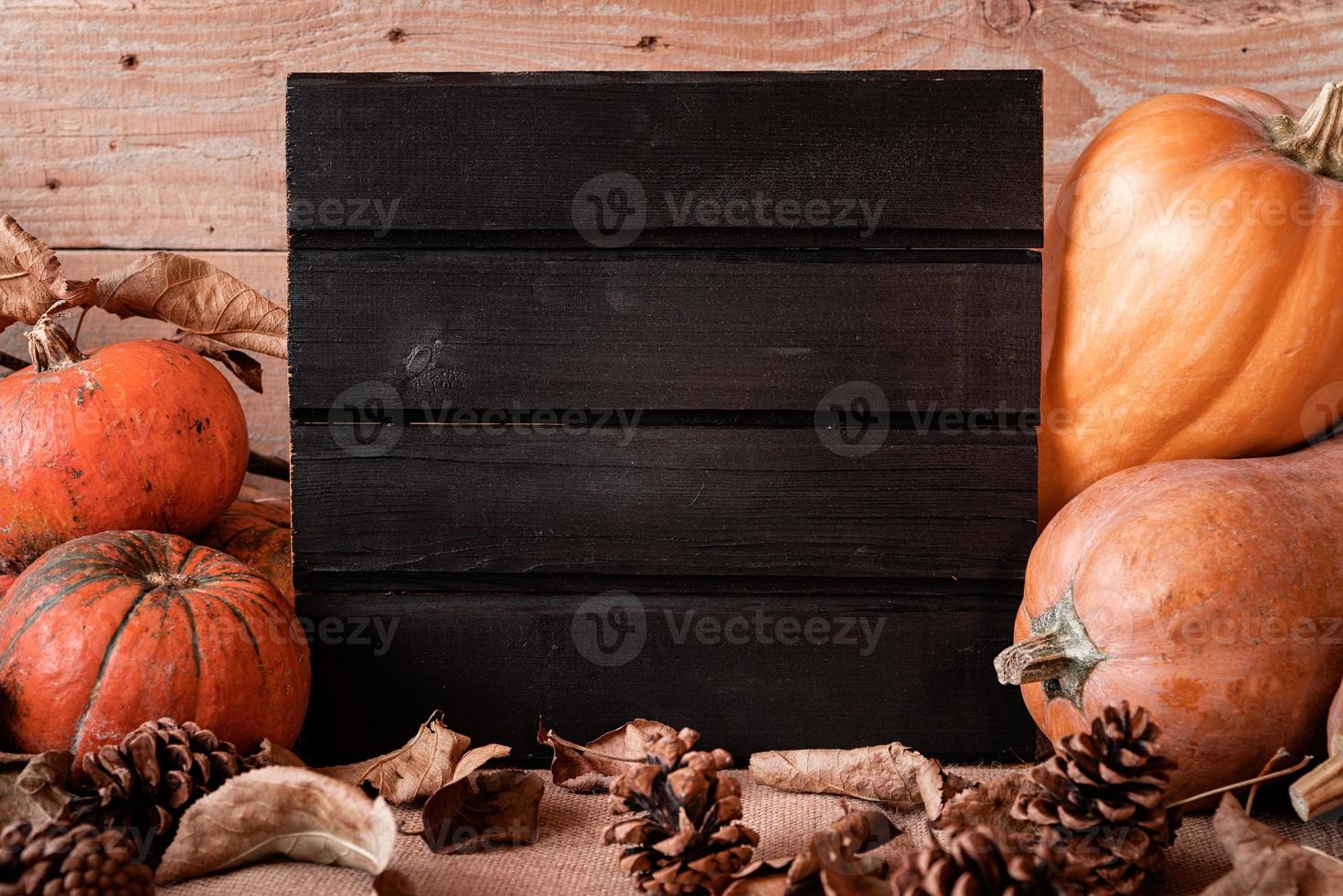 Black wooden sign with pile of pumpkins and pine cones photo