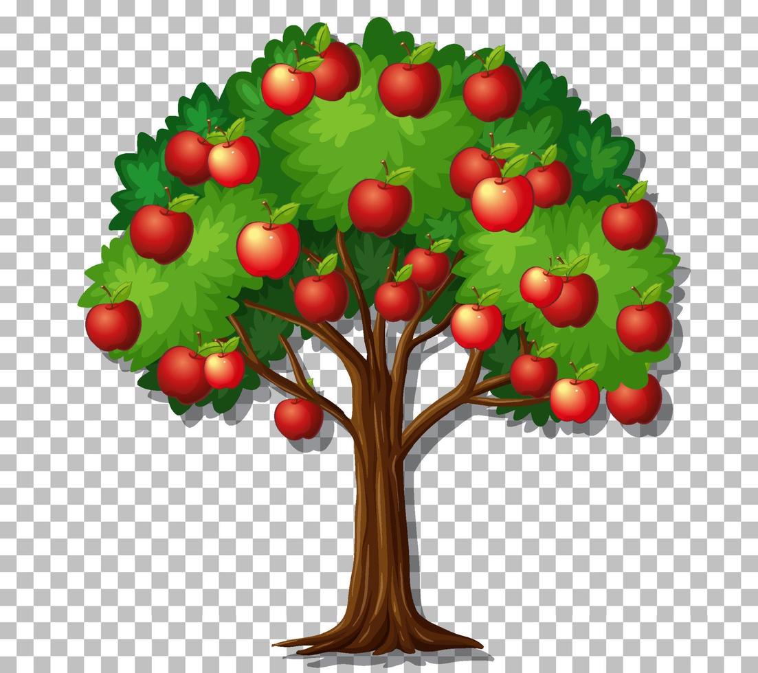 Apple tree on grid background vector