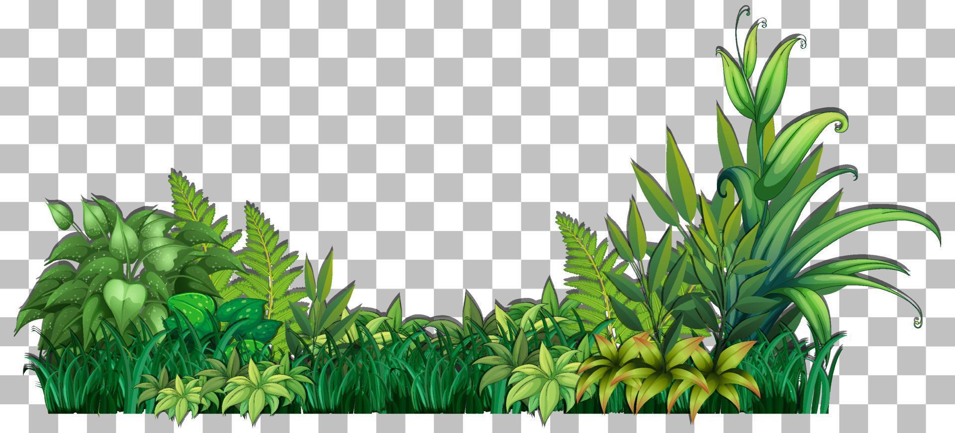 Grass and plants on grid background for decor vector
