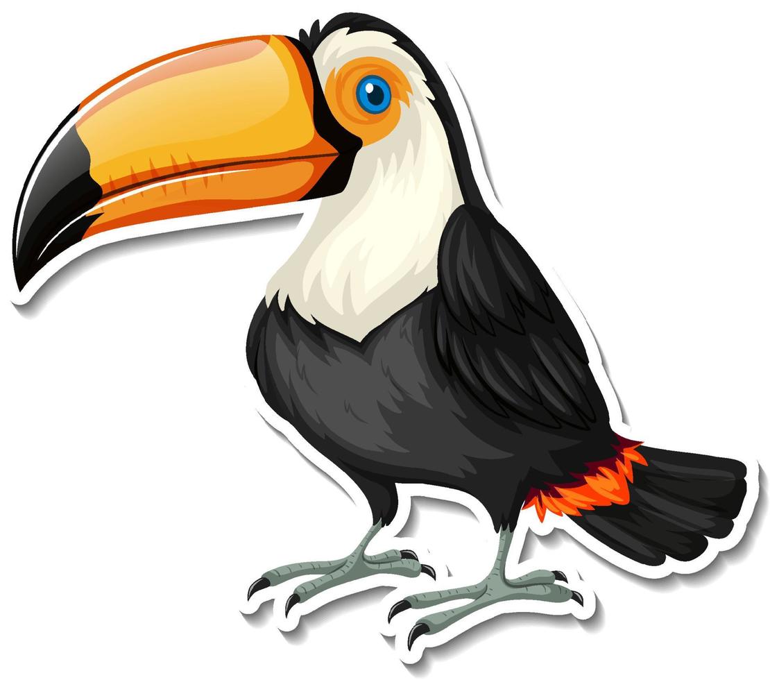 Toucan bird animal cartoon sticker vector