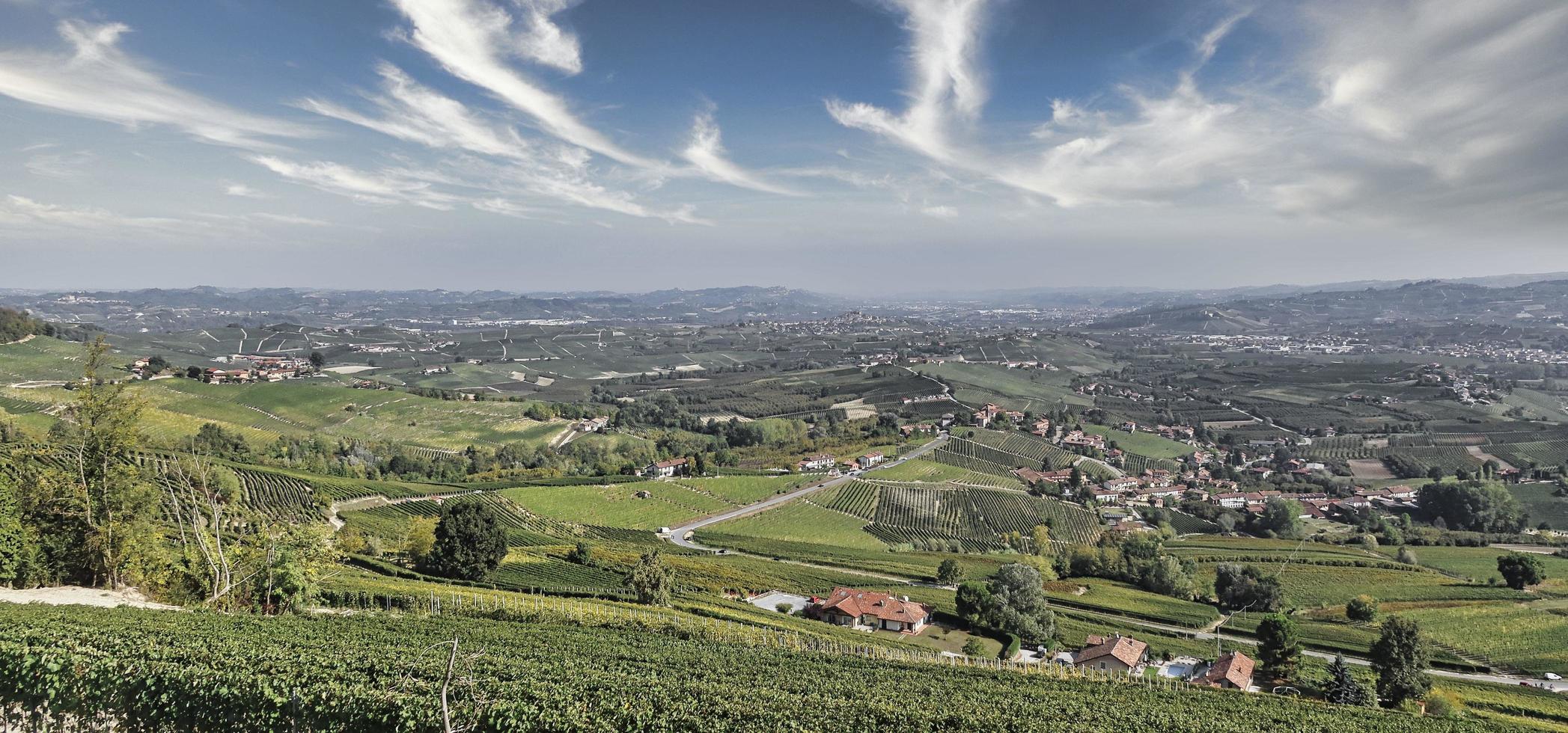 el cedro del líbano en la morra con los maravillosos colores del otoño en la langhe piamontesa foto