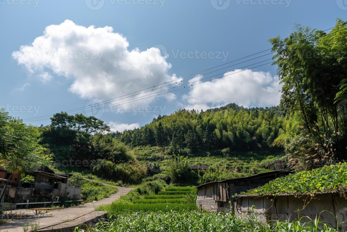 A road leading to a distance in the country, with houses and green forests or fields photo