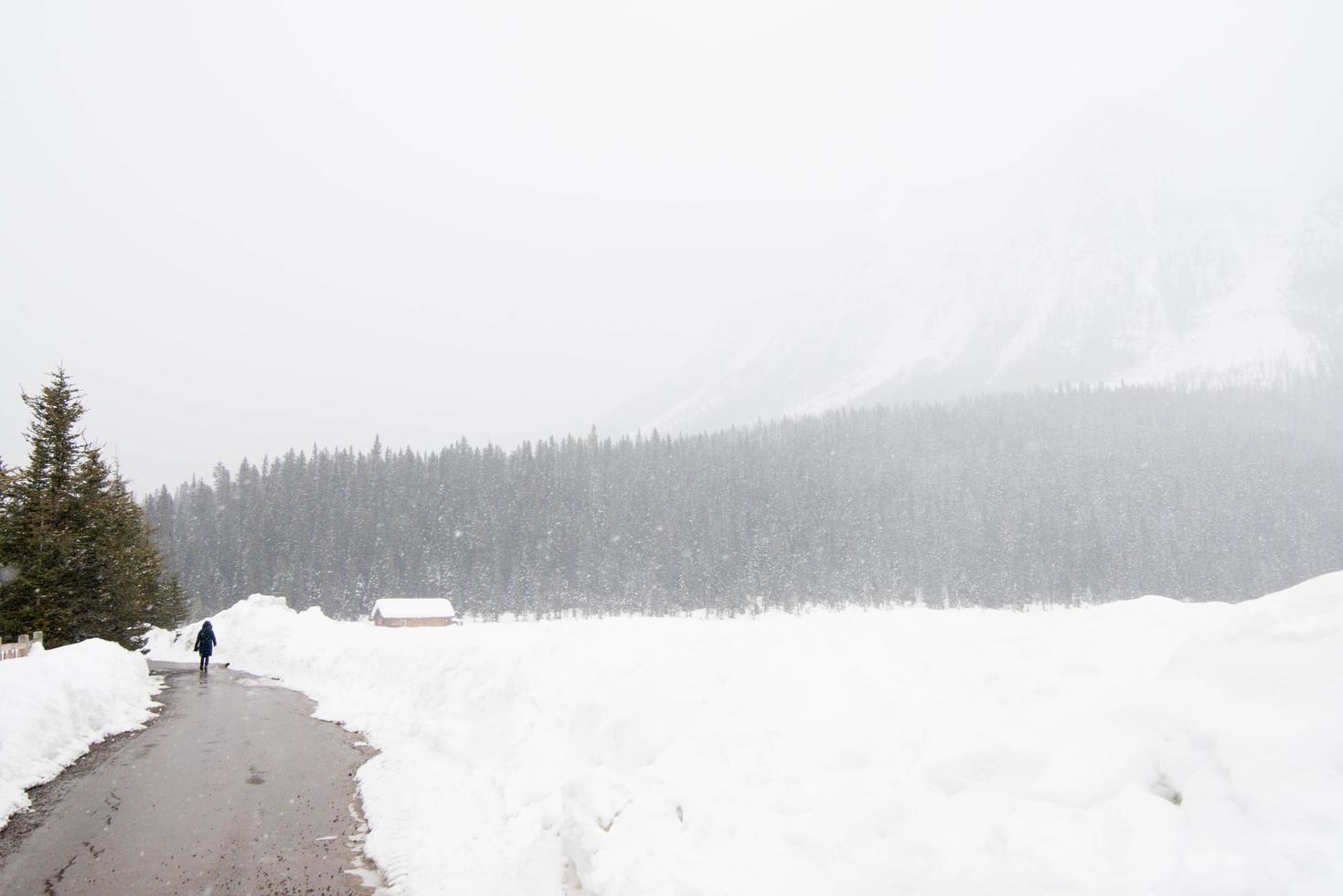 joven visto de espaldas caminando en un día de nieve. casa de madera y bosque al fondo. parque nacional banff, canadá foto