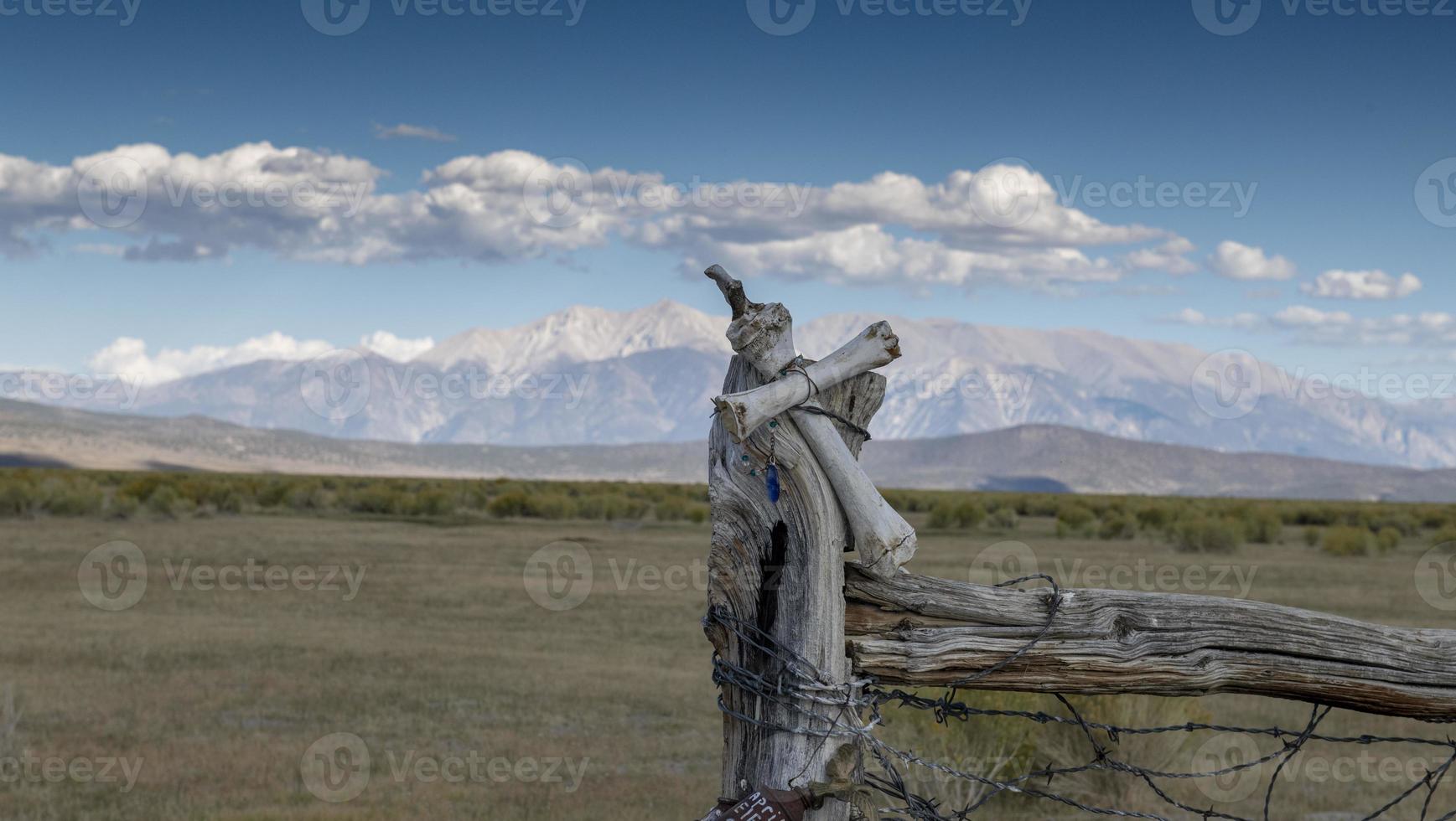 Santuario de carretera con huesos de caballo salvaje, desierto de Nevada foto