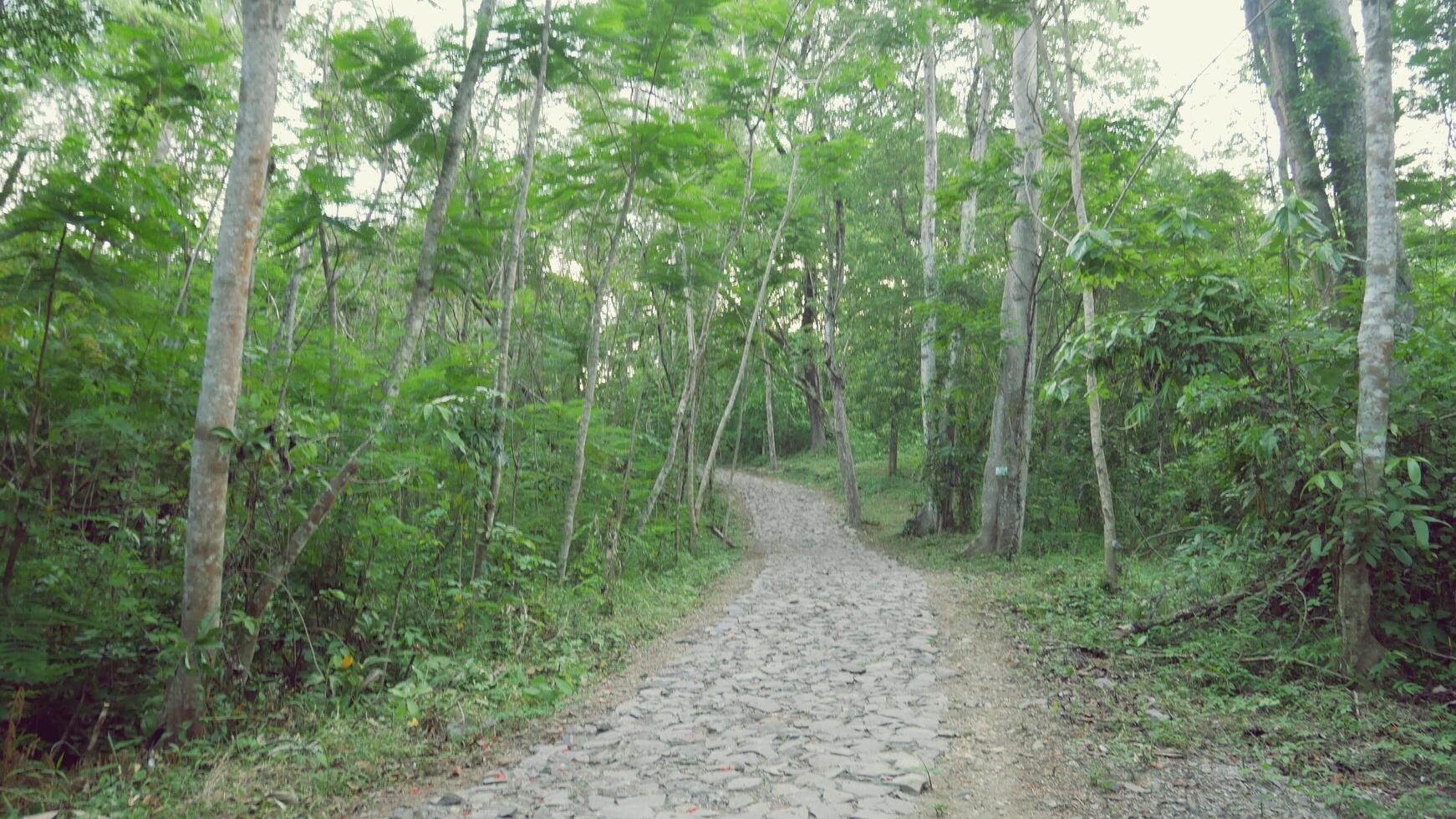 View of the road to the river in asia photo