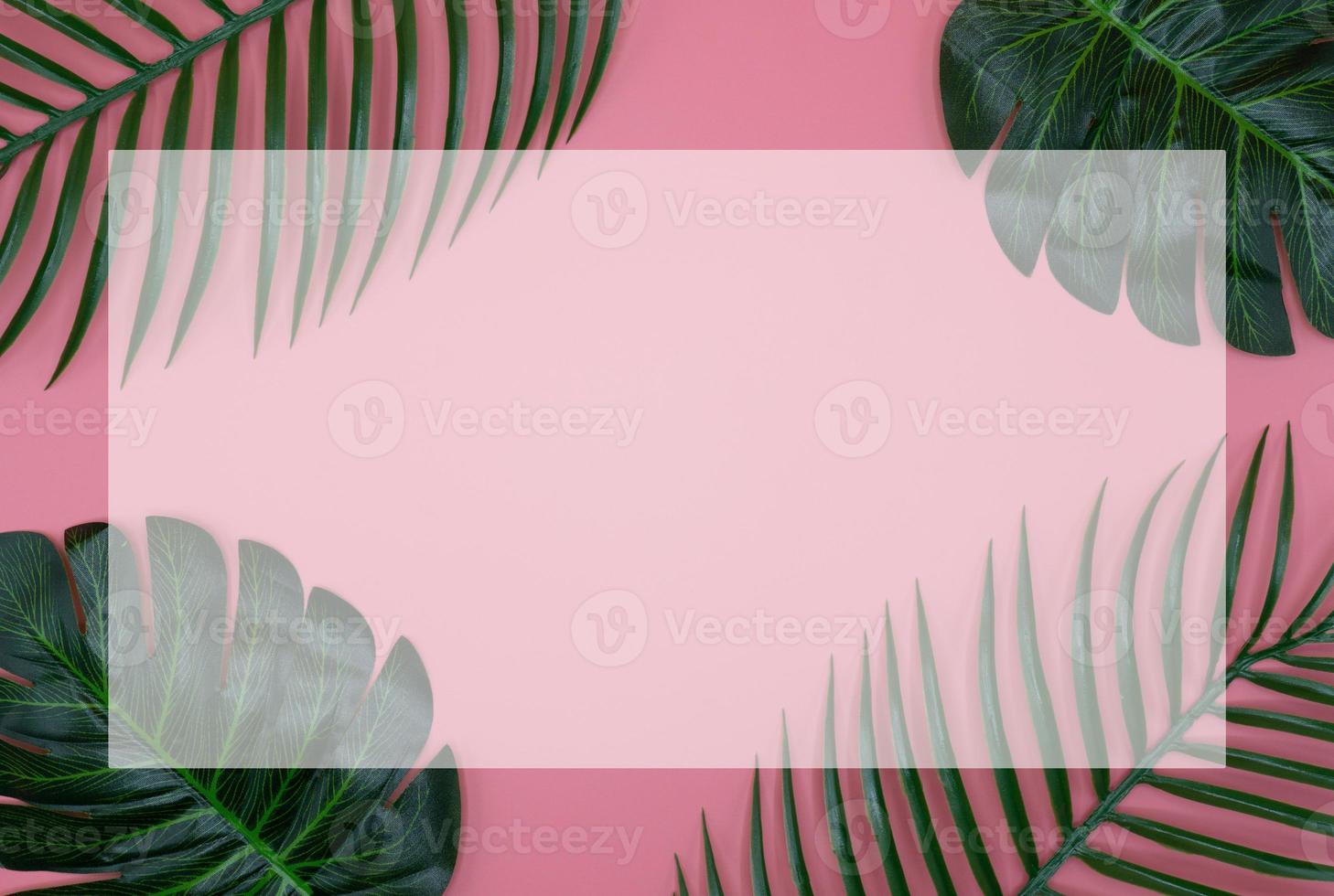 empty white diary book what has copy space which is decorated with plant leaves on the pink background photo