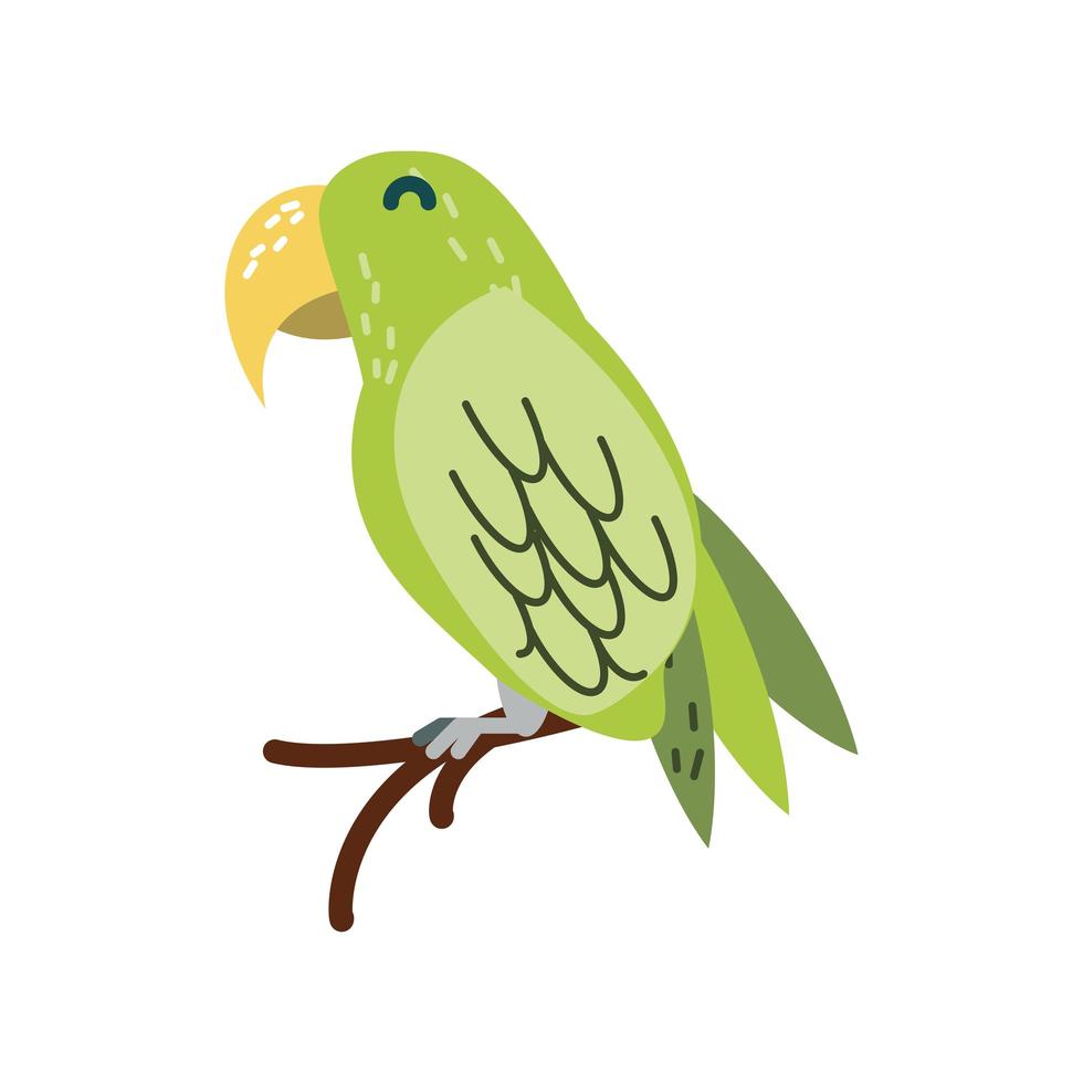 pájaro loro verde vector