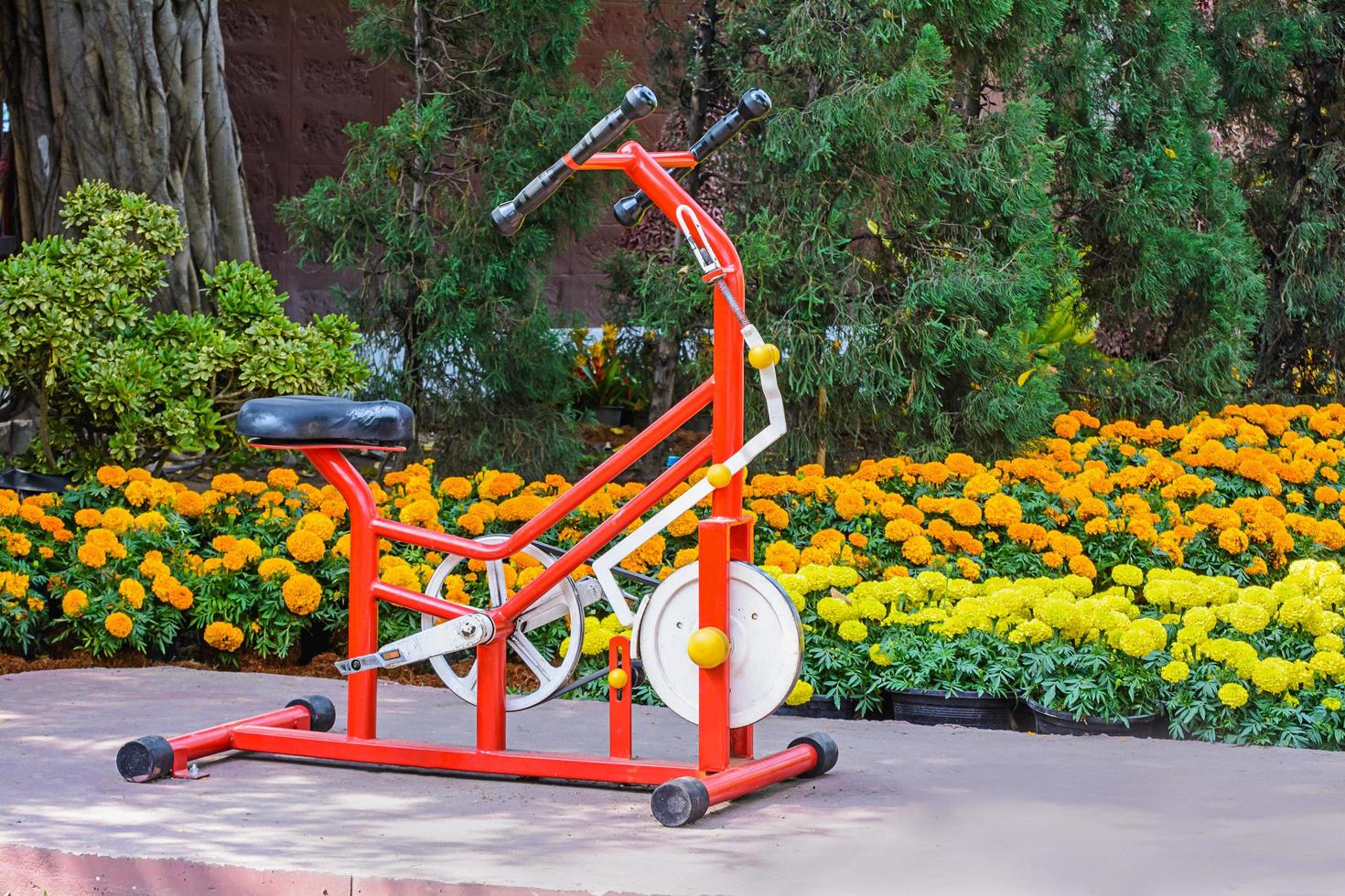 Exercise equipment in garden photo