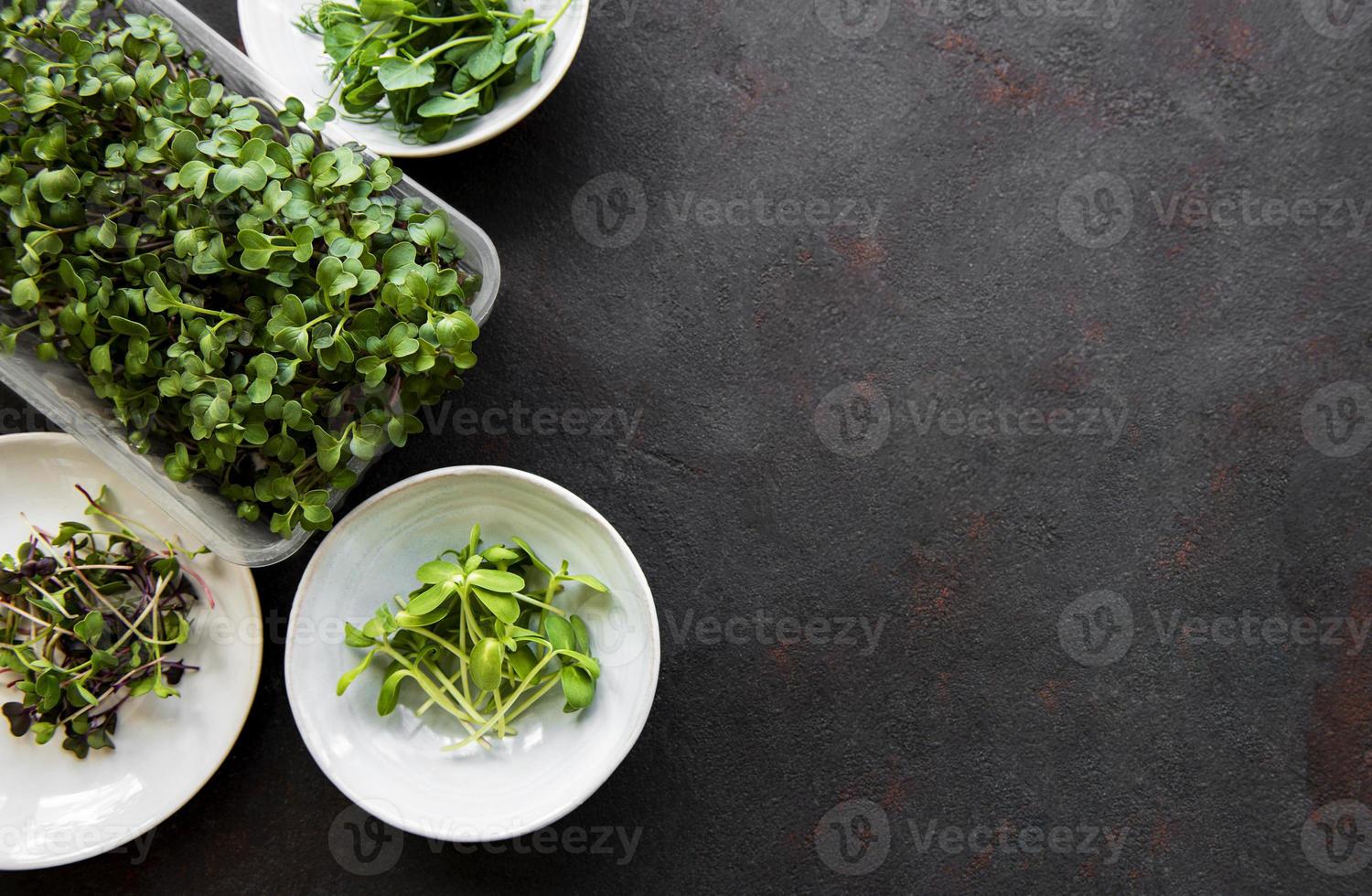 Assortment of micro greens at black background, copy space, top view. photo