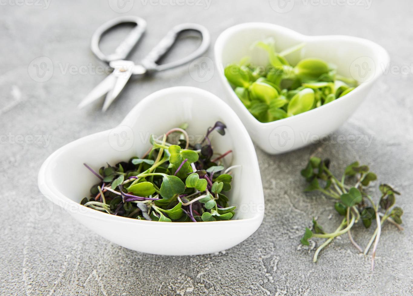 surtido de micro greens en el fondo de hormigón, vista superior. estilo de vida saludable foto