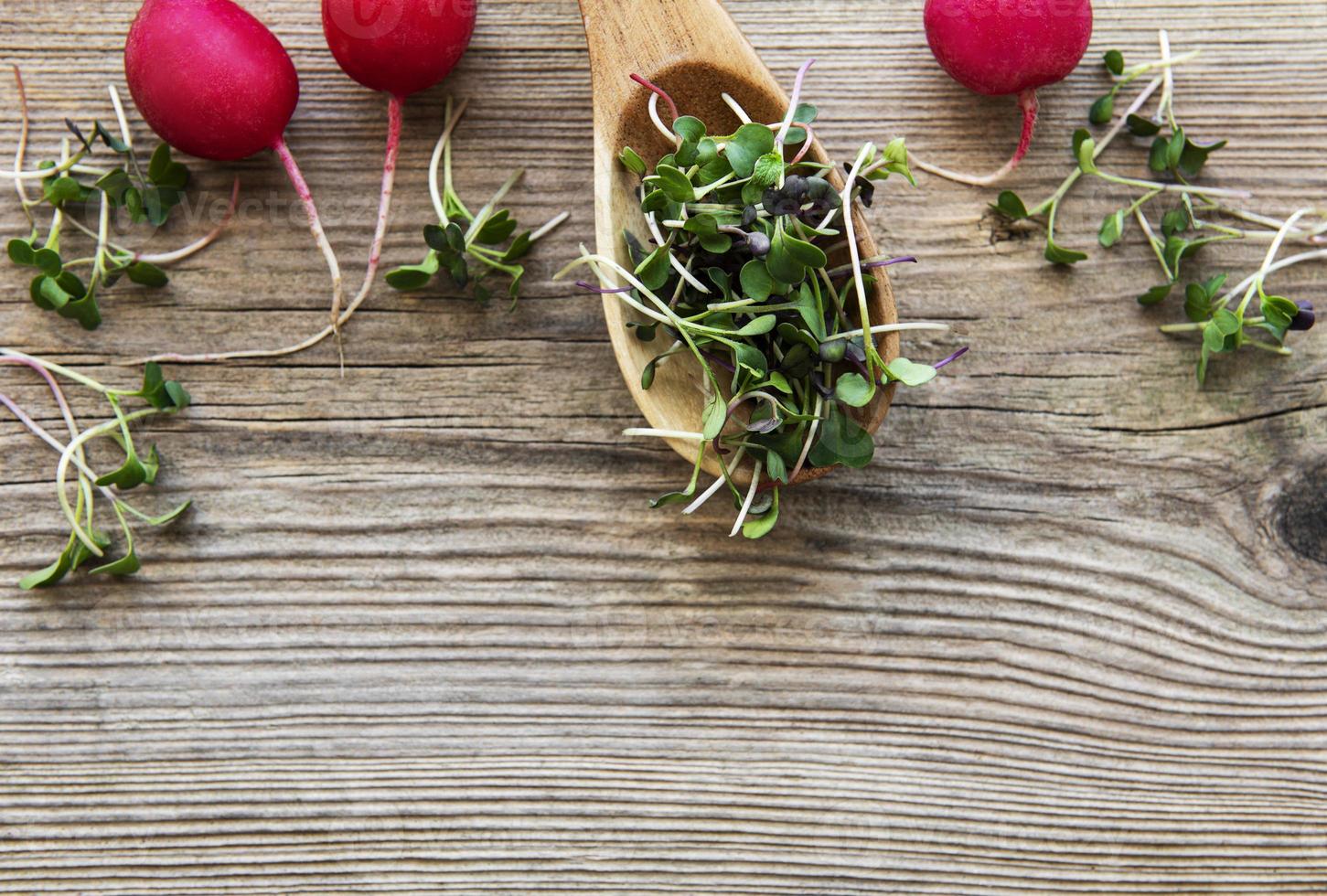 Montón de micro verdes de rábano sobre fondo de madera vieja. concepto de alimentación saludable. foto