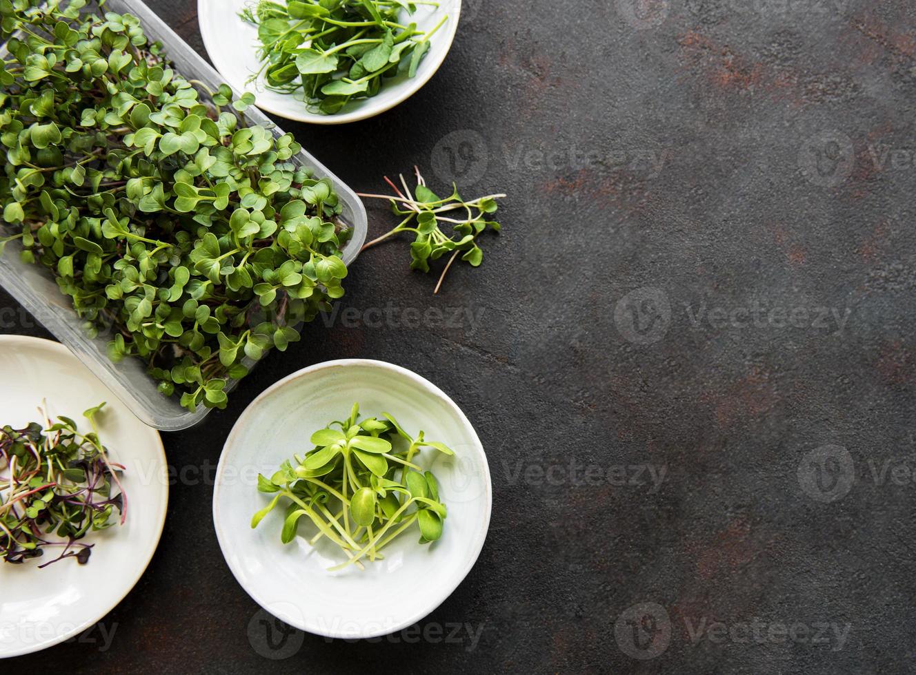 surtido de micro greens en fondo negro, espacio de copia, vista superior. foto