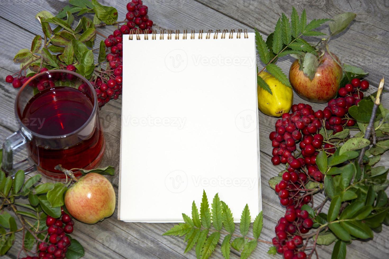 Notepad with a white margin for text. Template with a white sheet of paper. Rowan berries and apples on a wooden background. photo