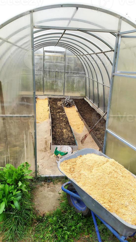 Greenhouse. Arrangement of paths in the greenhouse. Sawdust for the furrow between the ridges in the garden. photo