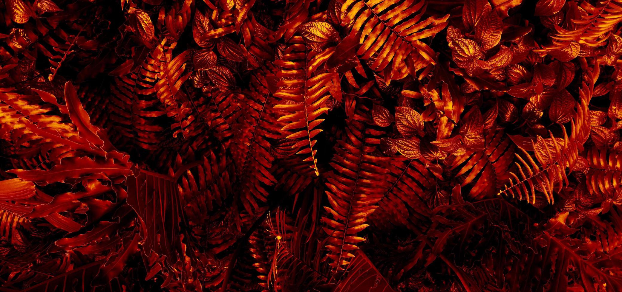Tropical red leaf background. photo