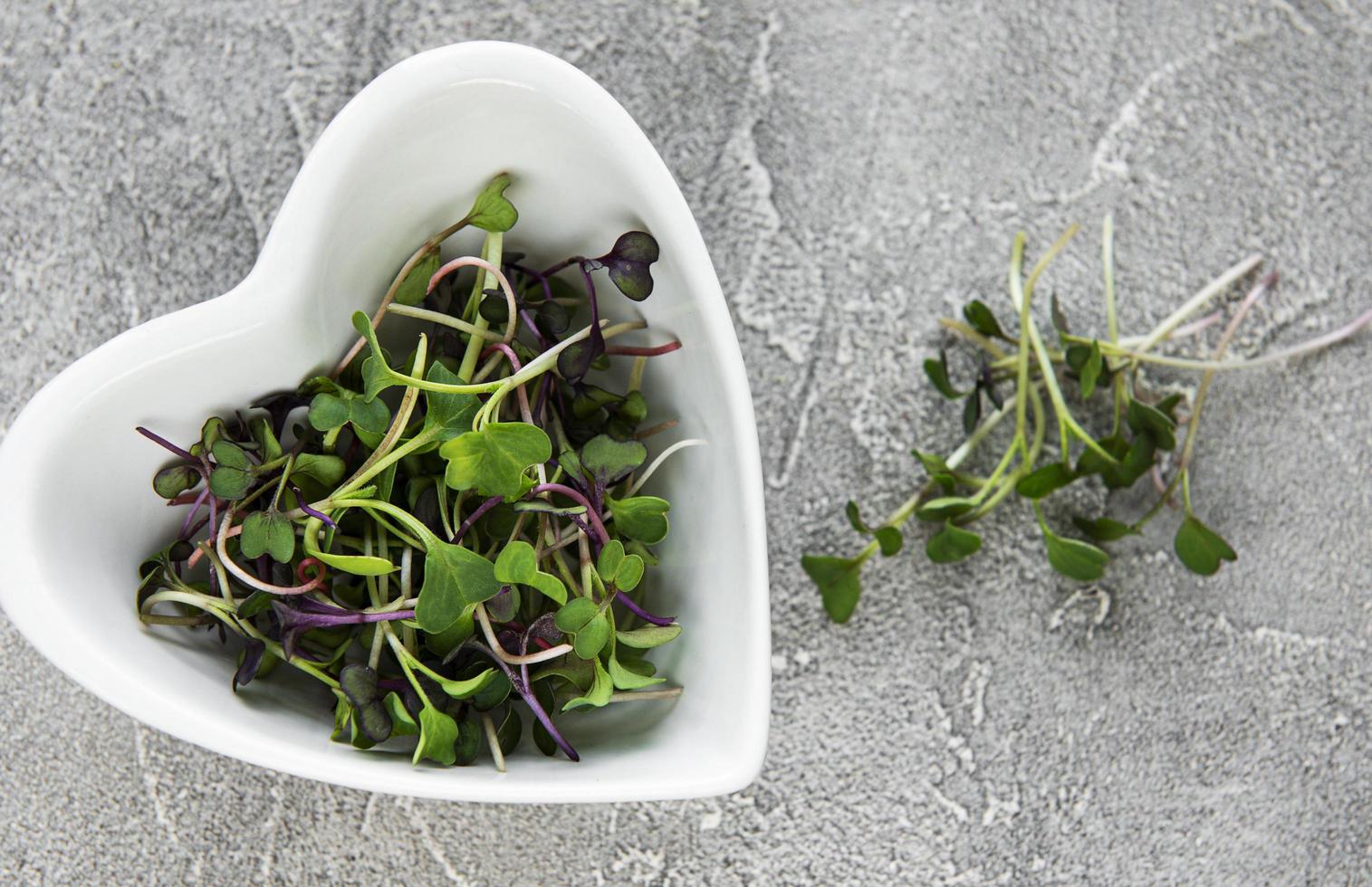 Microgreens de rábano rojo sobre una mesa de hormigón, concepto saludable foto