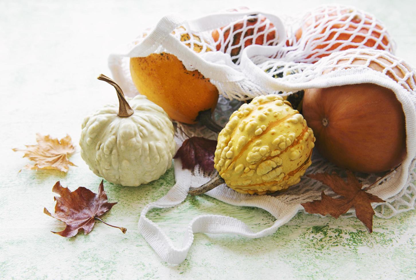 Autumn composition with assorted pumpkins in eco string bag photo