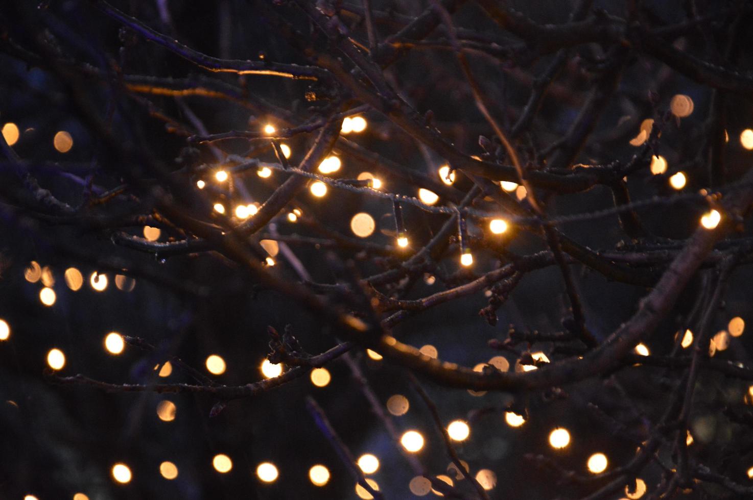 New Year's blurry garlands glow at night in composition photo