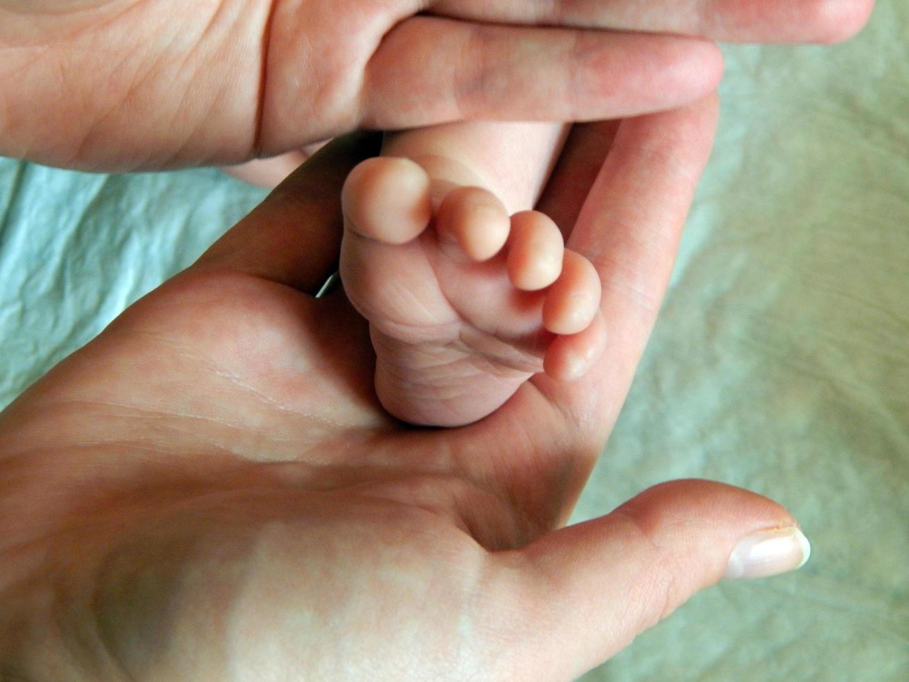 Hands of the baby photo