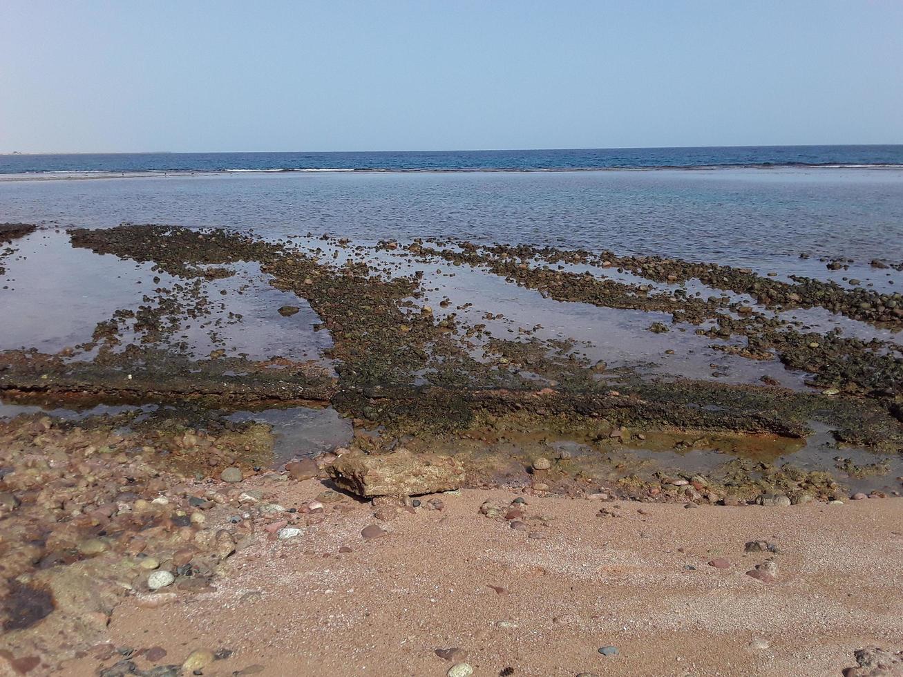 mar rojo en el complejo egipcio de sharm el sheikh foto