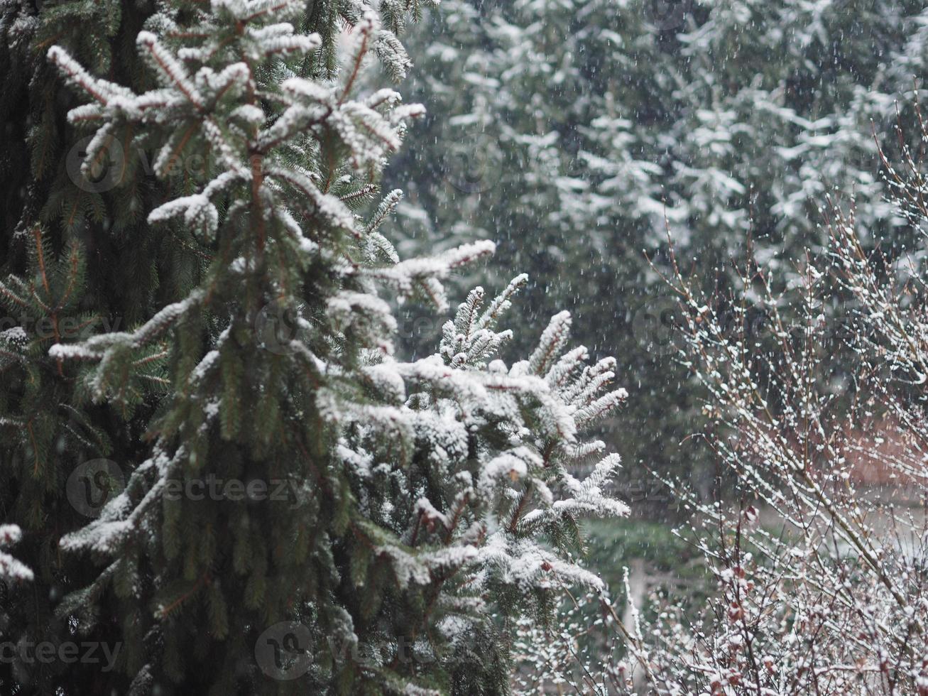 escena de invierno con fondo de nieve foto