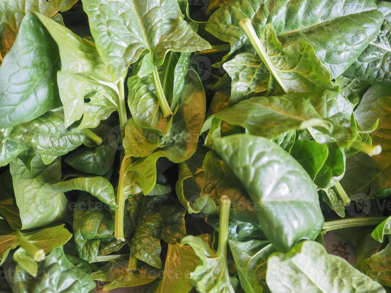 comida de verduras de espinaca foto