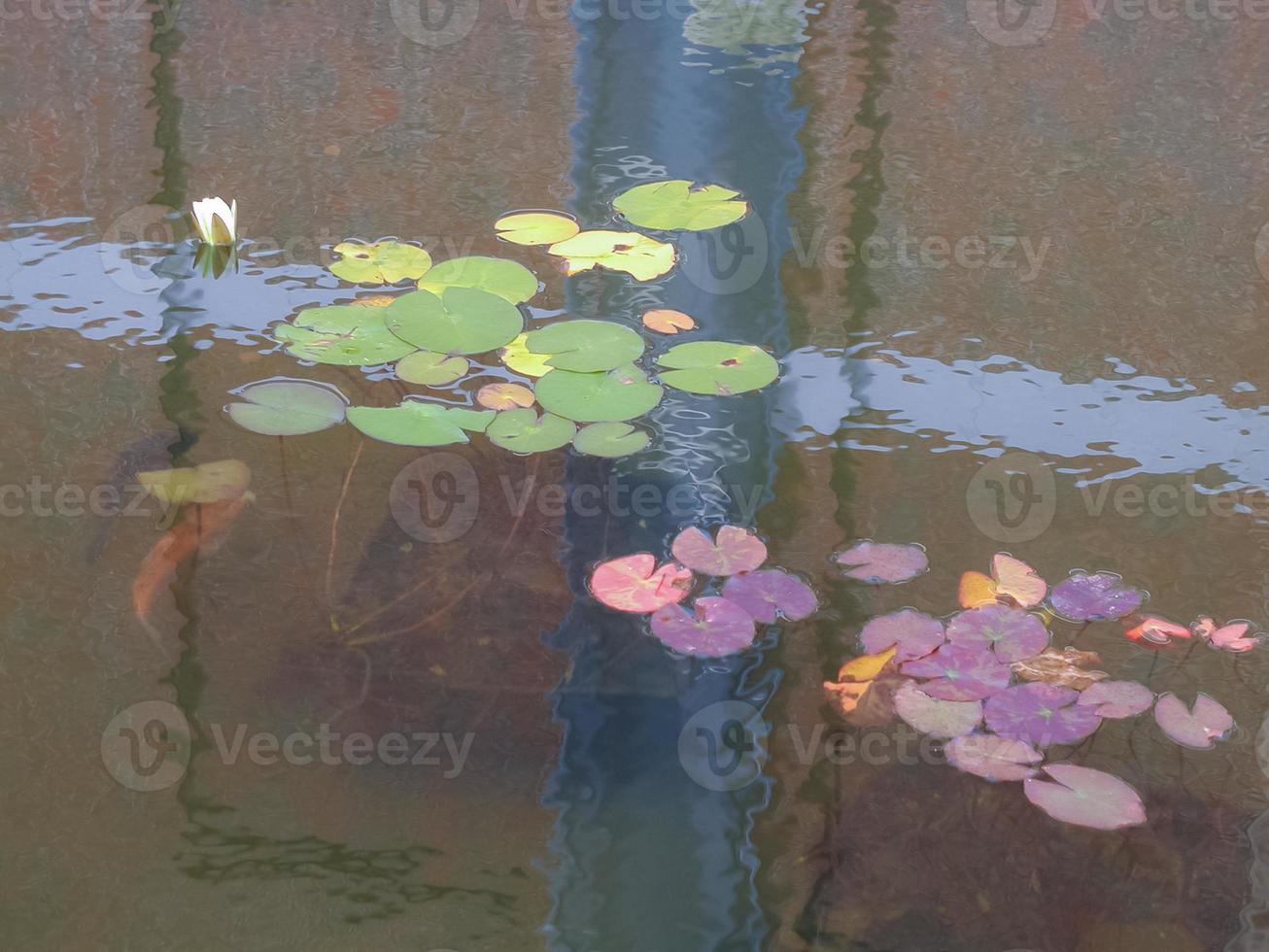 flor de lirio de agua verde foto