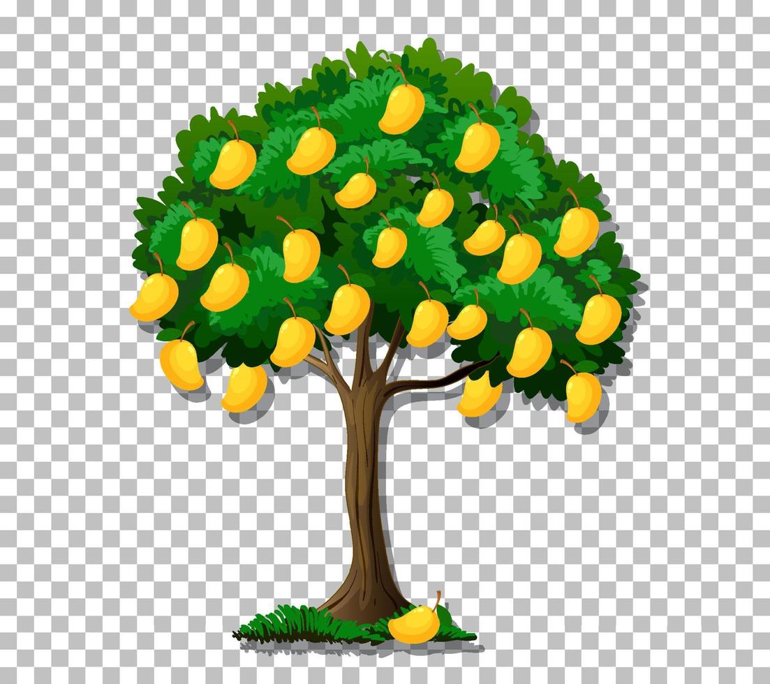 árbol de mango en el fondo de la cuadrícula vector