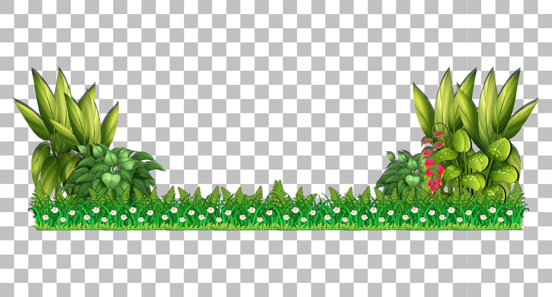 Variety trees on grid background vector