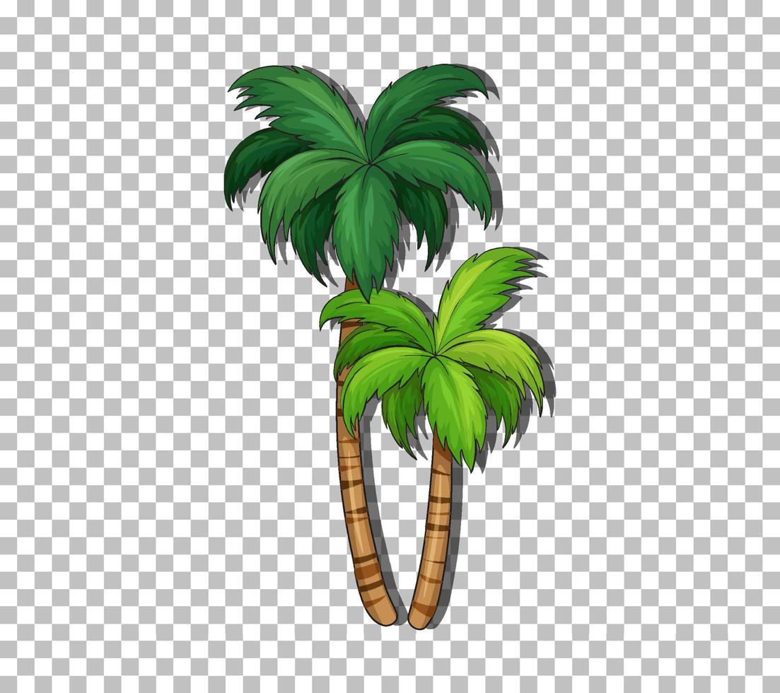 Coconut tree on grid background vector