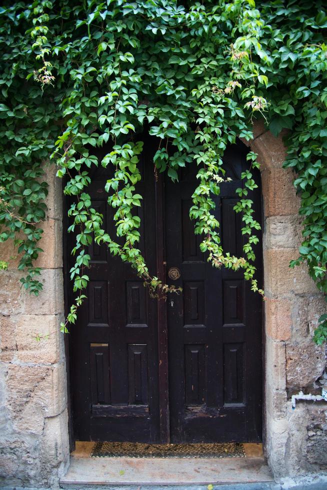 Puerta de madera antigua con muchas plantas verdes en Lindos, Rodas, Grecia foto