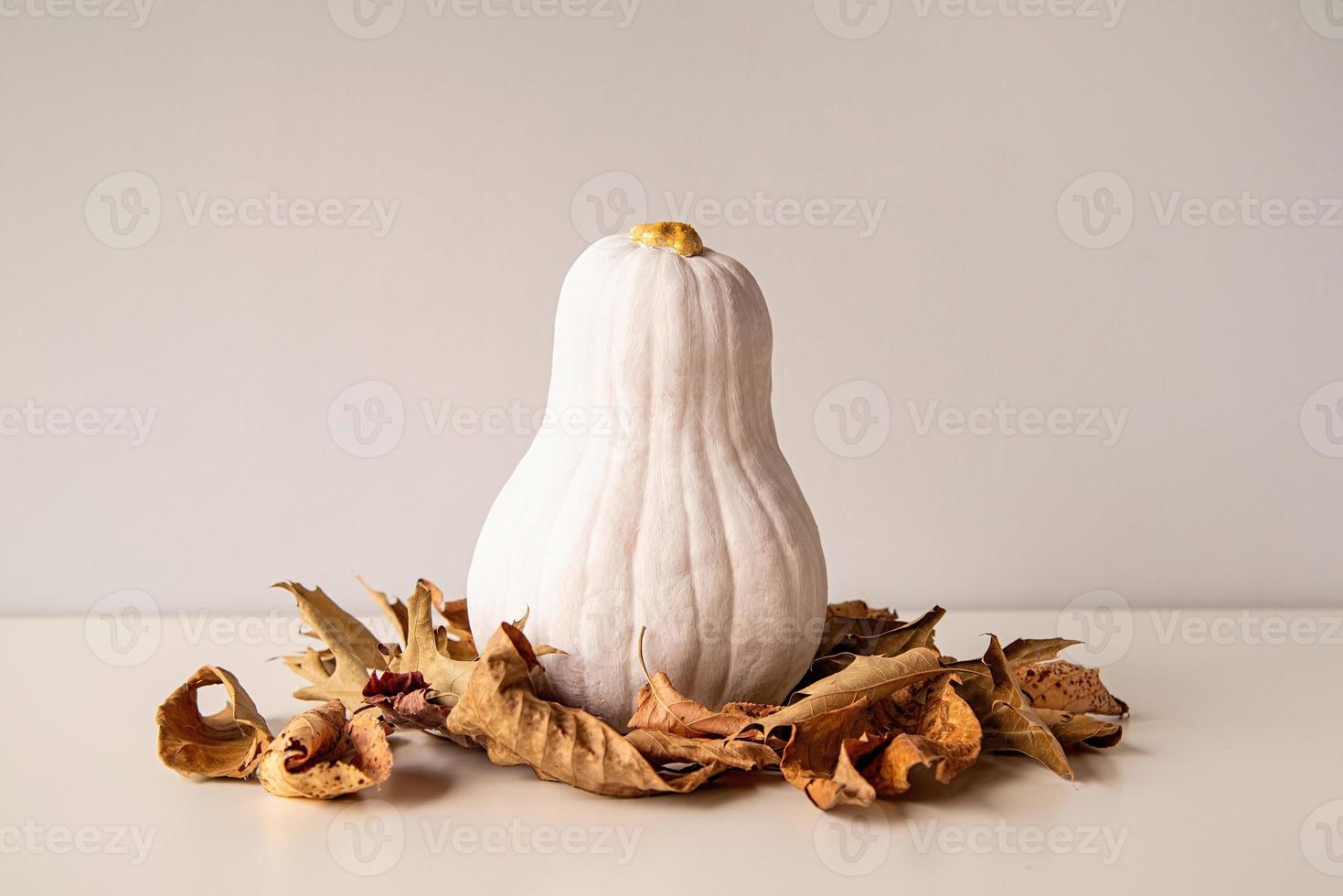 Modern white colored pumpkin with golden stem on the pile of dry autumn leaves on white table photo