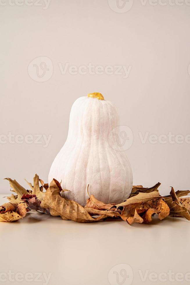 Calabaza de color blanco moderno con tallo dorado sobre el montón de hojas secas de otoño en el cuadro blanco foto