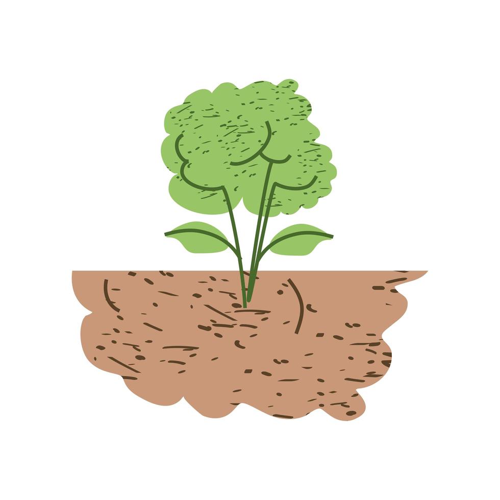 plant in soil vector