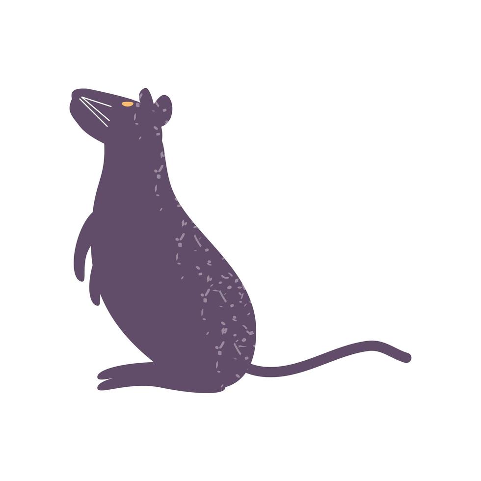 animal rata negra vector