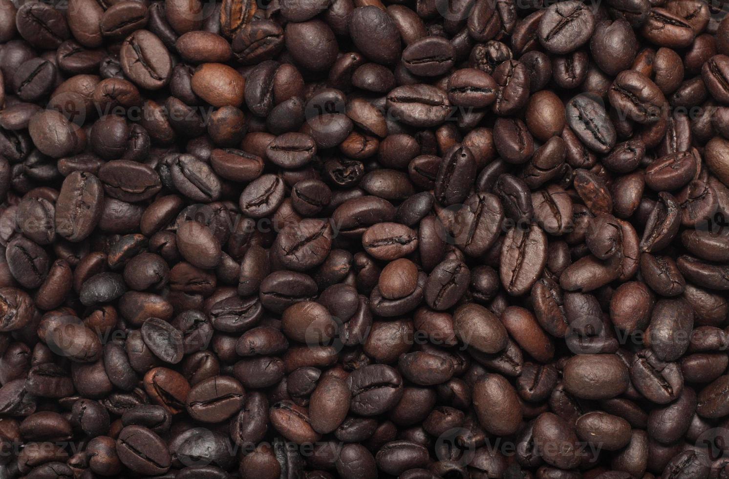 Coffee Beans texture photo