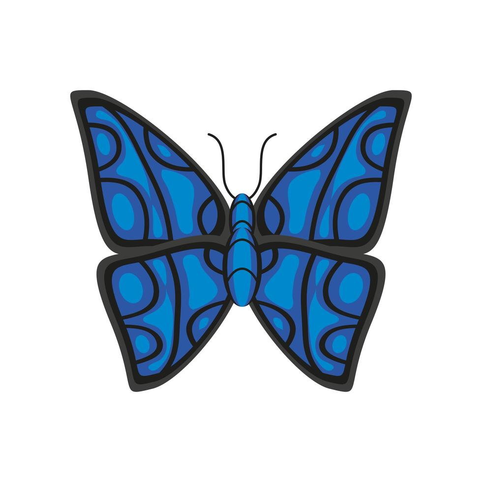 blue butterfly decoration vector