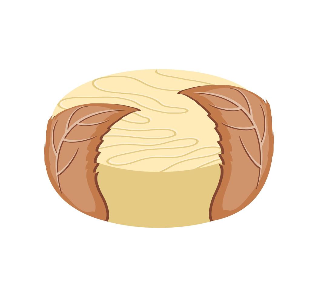 wrapped wheel cheese vector