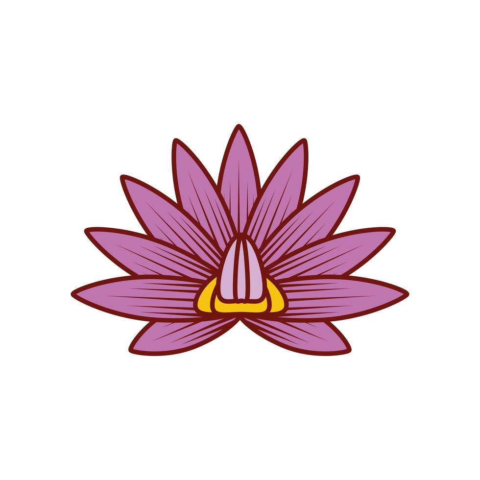 flower lotus decoration vector