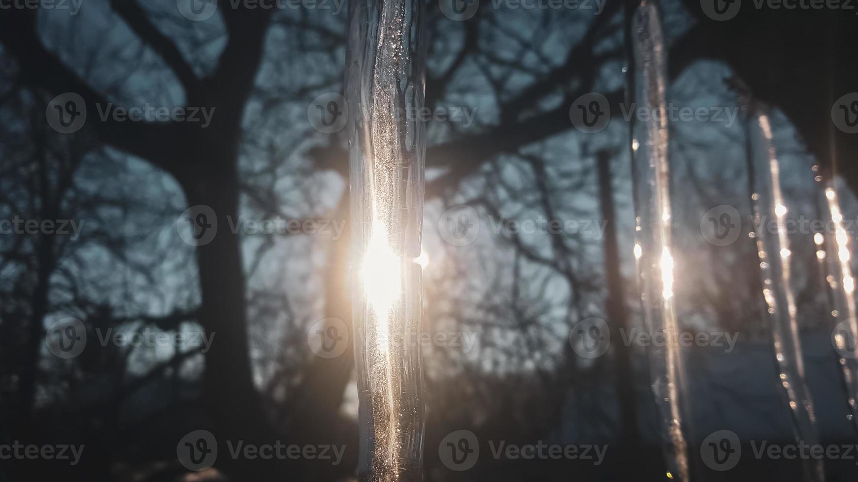 carámbanos congelados en la puesta de sol. foto