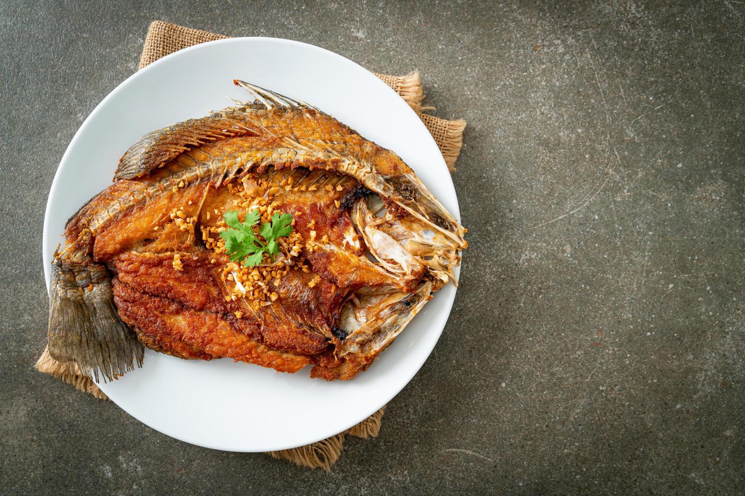 Fried Sea Bass Fish with Garlic photo