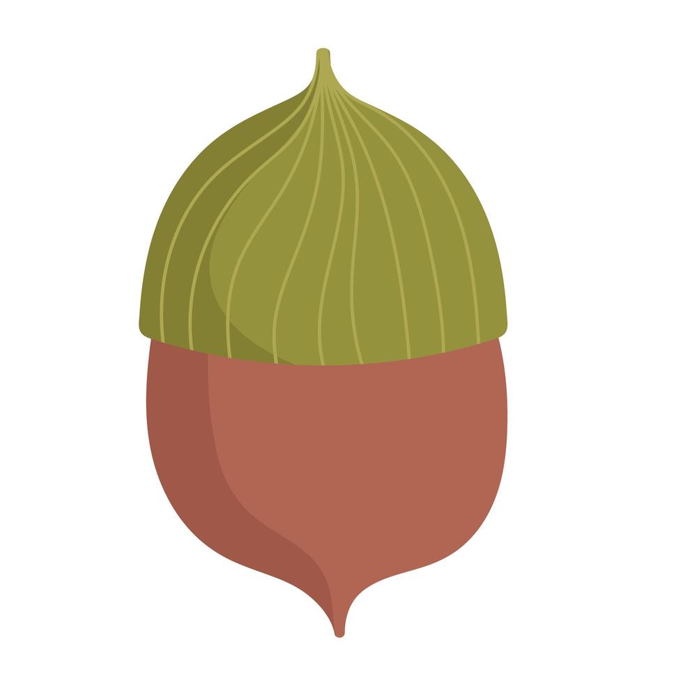 autumn acorn fruit cartoon icon isolated style vector