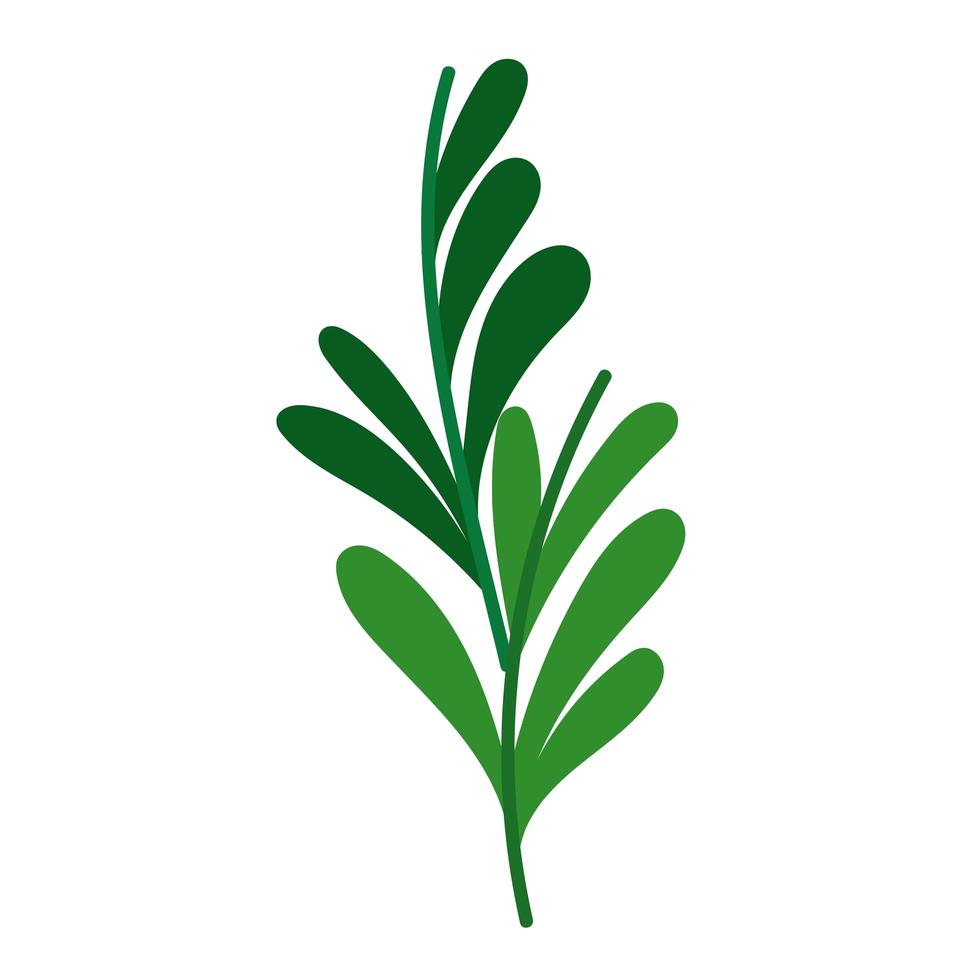 branch foliage leaf decoration cartoon icon white background vector