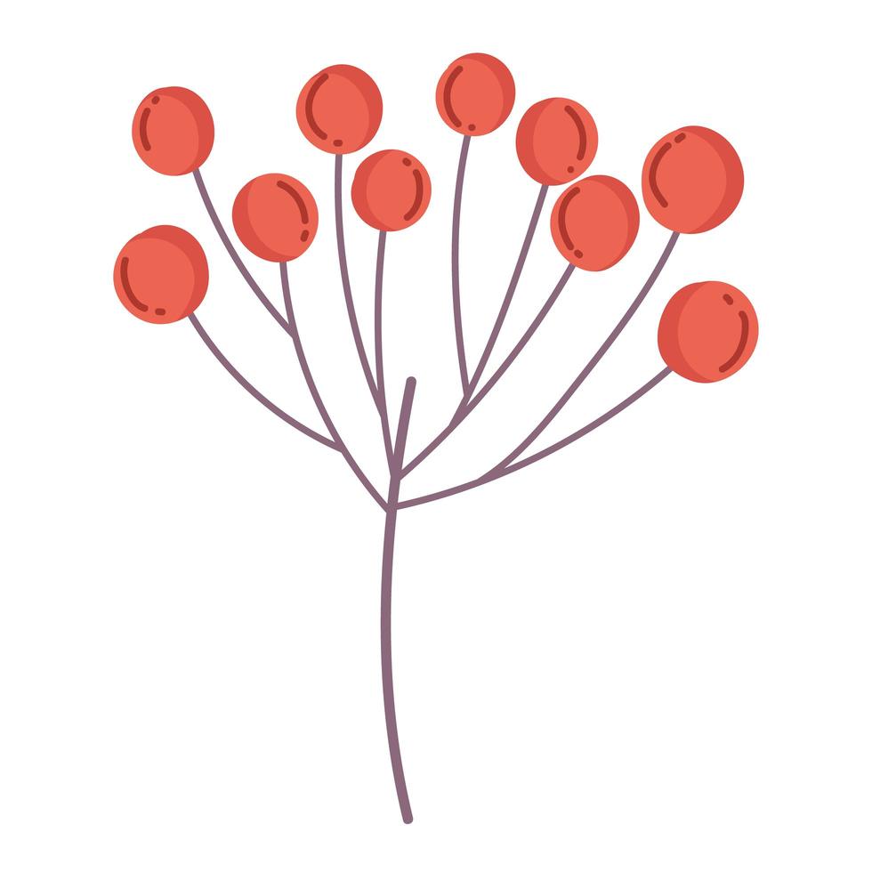 branch berries nature cartoon icon isolated style vector