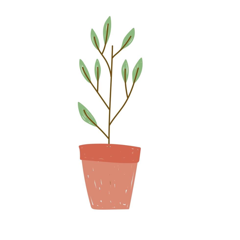 potted plant garden vector