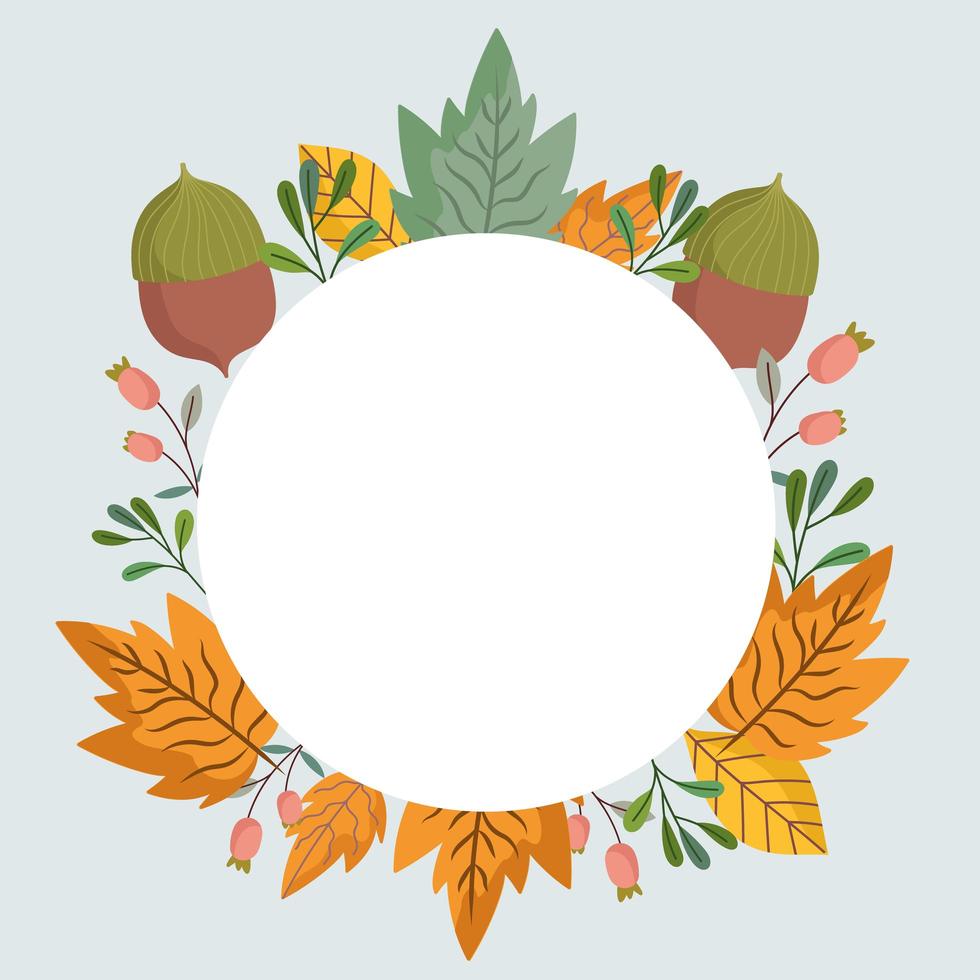 leaves acorns foliage nature botanical, decoration round frame vector