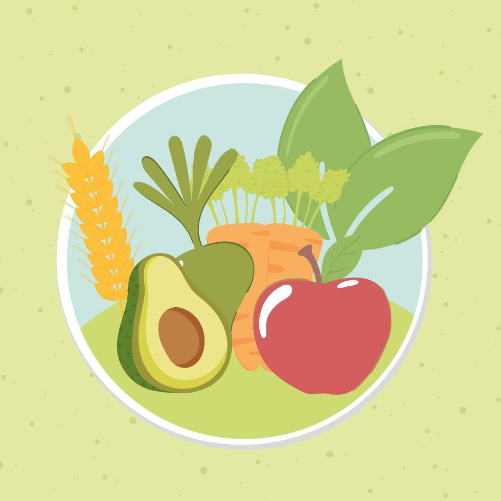 organic fruit and vegetables vector